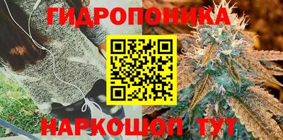 молекула духа Можга