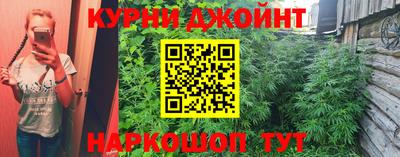 стаф Моздок