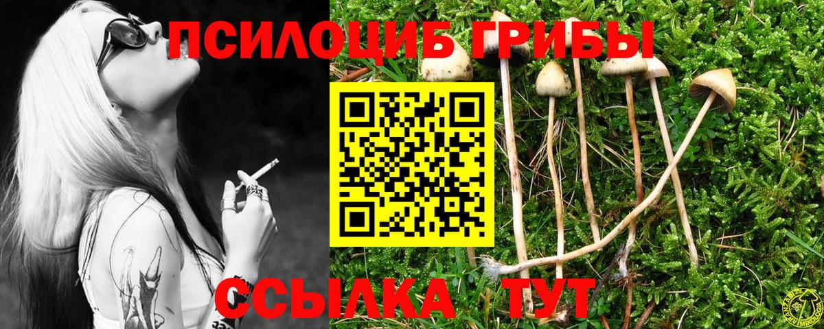 Галлюциногенные грибы Cubensis  Вход с VPN  Туймазы  Псилоцибиновые грибы Psilocybe 